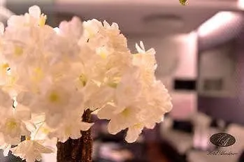 Alendouro 2* Macedo de Cavaleiros