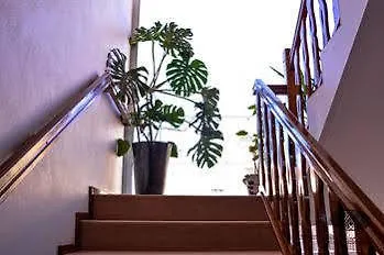 Alendouro 2* Macedo de Cavaleiros